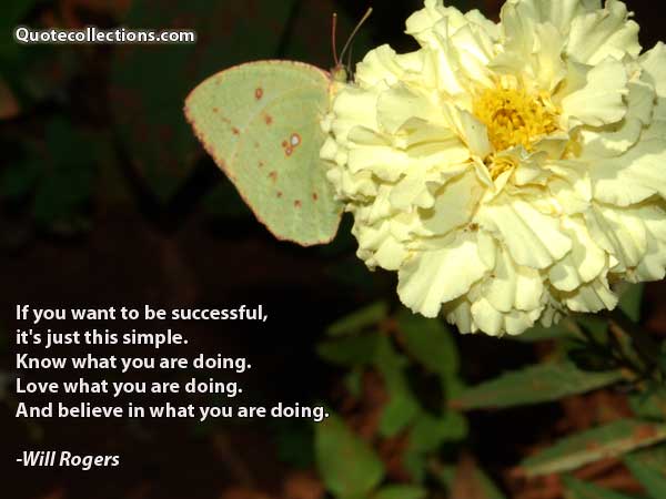 Will Rogers Quotes1